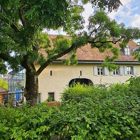 Blue Wall Bnb Gebenstorf Exterior photo